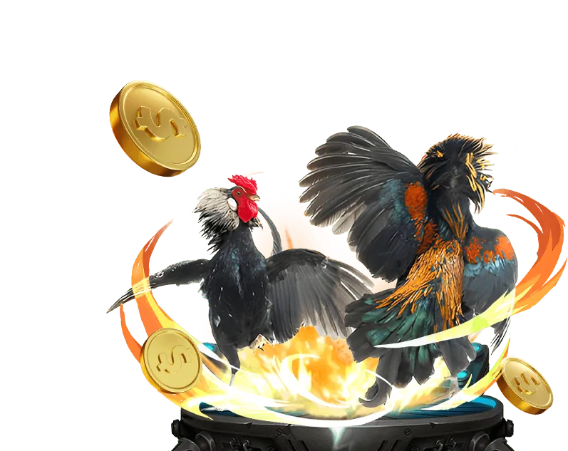 Đá gà trực tiếp Thabet88